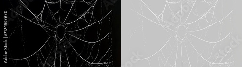 Fotografie Realistic Hanging Spider Web PNG with Thin Fragile Silk Fibers, Transparent Isolated Background for Horror Illustration and Holiday Decoration