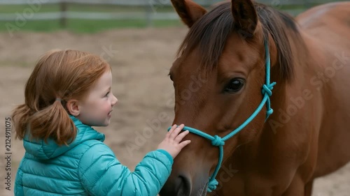 Young girl petting brown horse with turquoise halter in paddock for child equestrian portrait and animal bonding background