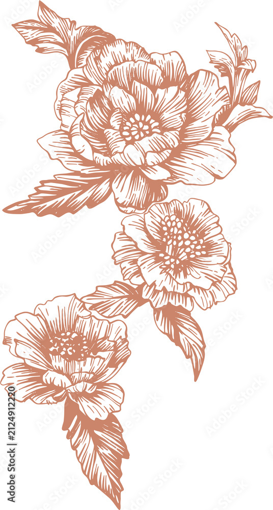 Obraz premium Toile de Jouy is a monochrome bouquet of isolated garden plants (peonies and roses) in a classic French style. This line illustration is perfect for wedding designs, branding, and covers.