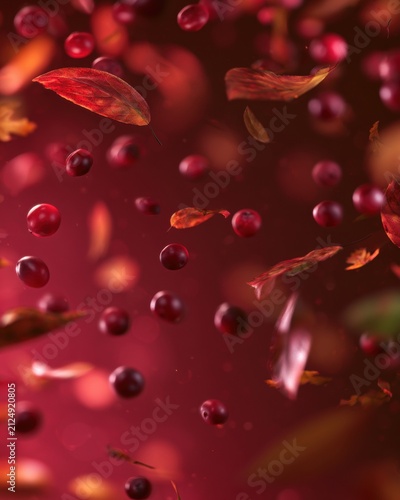 Floating cranberries with autumn leaves