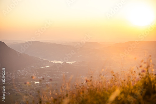 Germany, Bavaria, Allgaeu, close up of flowers against the sun