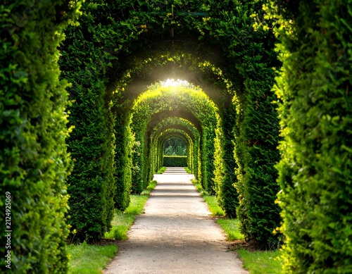 A long garden path arches under manicured green hedges, leading towards a bright sunlit opening