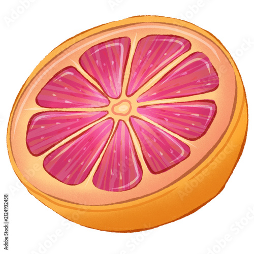 Pink Grapefruit Slice Citrus Fruit Watercolor Illustration