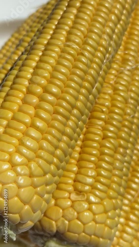 Close-up of Fresh Yellow Corn Cobs in Bright Sunlight. High-quality macro footage of fresh, ripe yellow sweet corn cobs glowing under bright natural sunlight. The detailed shot highlights the vibrant 