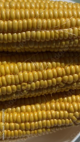 Close-up of Fresh Yellow Corn Cobs in Bright Sunlight. High-quality macro footage of fresh, ripe yellow sweet corn cobs glowing under bright natural sunlight. The detailed shot highlights the vibrant 
