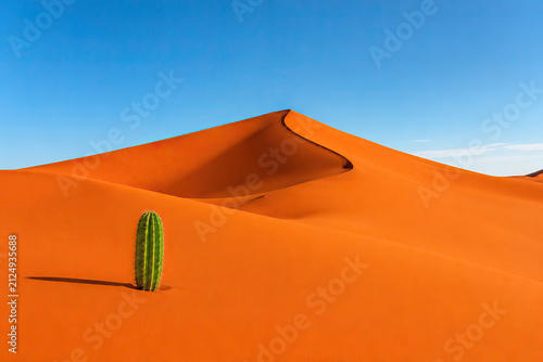 A vibrant depiction of a desert landscape showcases a healthy cactus plant against orange sand dunes under a clear blue sky, highlighting the resilience of life in an extreme environment.