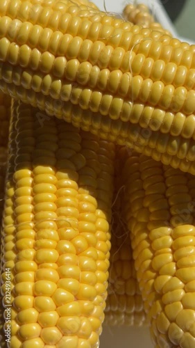 Close-up of Fresh Yellow Corn Cobs in Bright Sunlight. High-quality macro footage of fresh, ripe yellow sweet corn cobs glowing under bright natural sunlight. The detailed shot highlights the vibrant 