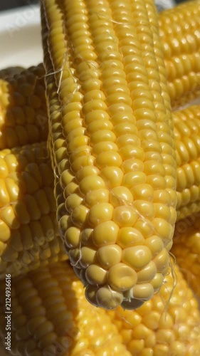 Close-up of Fresh Yellow Corn Cobs in Bright Sunlight. High-quality macro footage of fresh, ripe yellow sweet corn cobs glowing under bright natural sunlight. The detailed shot highlights the vibrant 