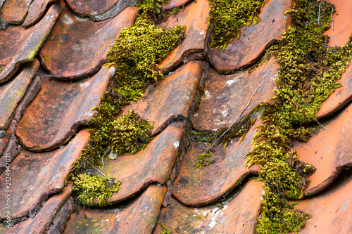 Weathered clay roof with green moss and patina
