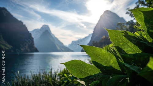 Lush Green Leaves Framing a...