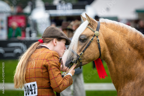 Woman Kissing Champion Palomino Welsh Section C Stallion