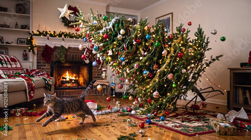 Tabby cat running after knocking over a decorated Christmas tree