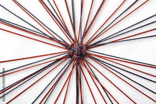 Abstract network of interconnected red and black strings forming central knot