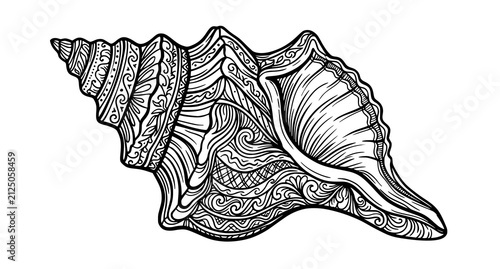 Obraz na plátně Detailed hand drawn conch shell illustration with intricate zentangle patterns i