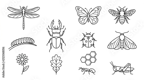 Set of various insect and nature icons in a simple line art style.