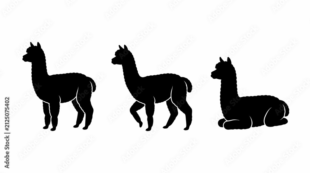 Obraz premium Set of Three Black Alpaca Silhouettes in Standing, Walking, and Sitting Poses Isolated on White