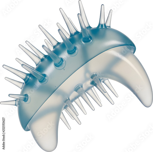 Dental teeth cleaning tool model.