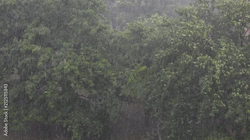 4K Summer Storm with Intense Rain and Wind 