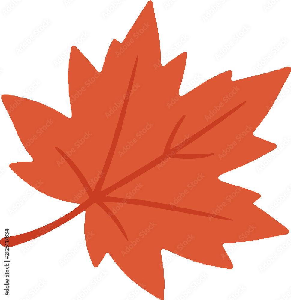 Fototapeta premium maple leaves
