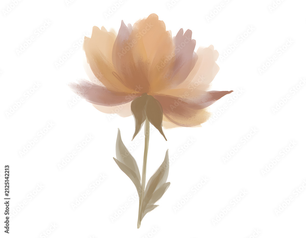 Obraz premium Elegant Soft Peach Flower Botanical Illustration with Muted Tones and Artistic Digital Painting Style on White Background