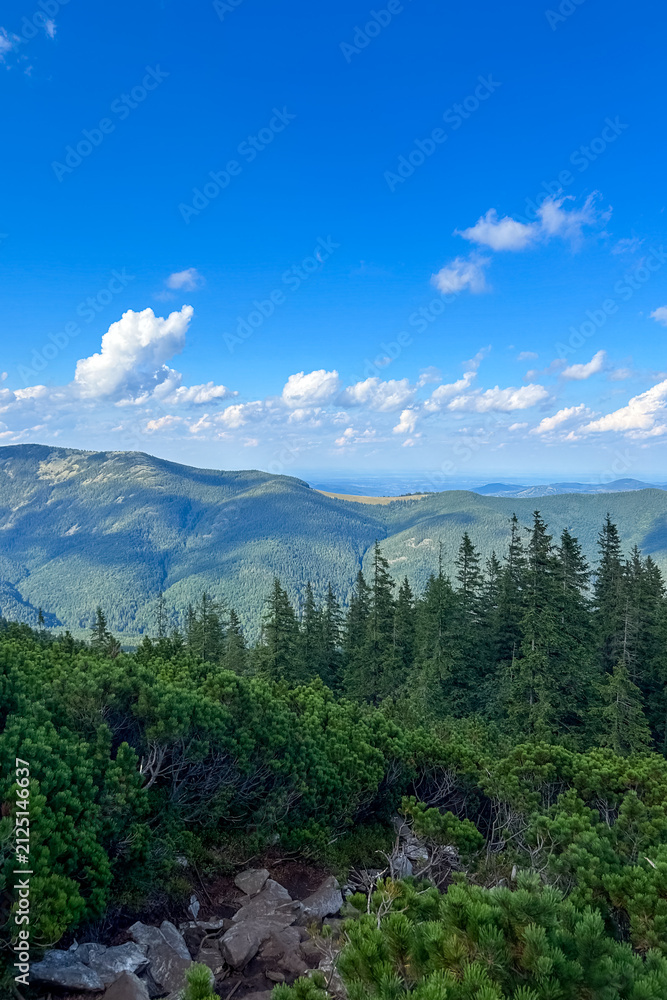 Fototapeta premium Mountains and trees under a blue sky with clouds during daytime