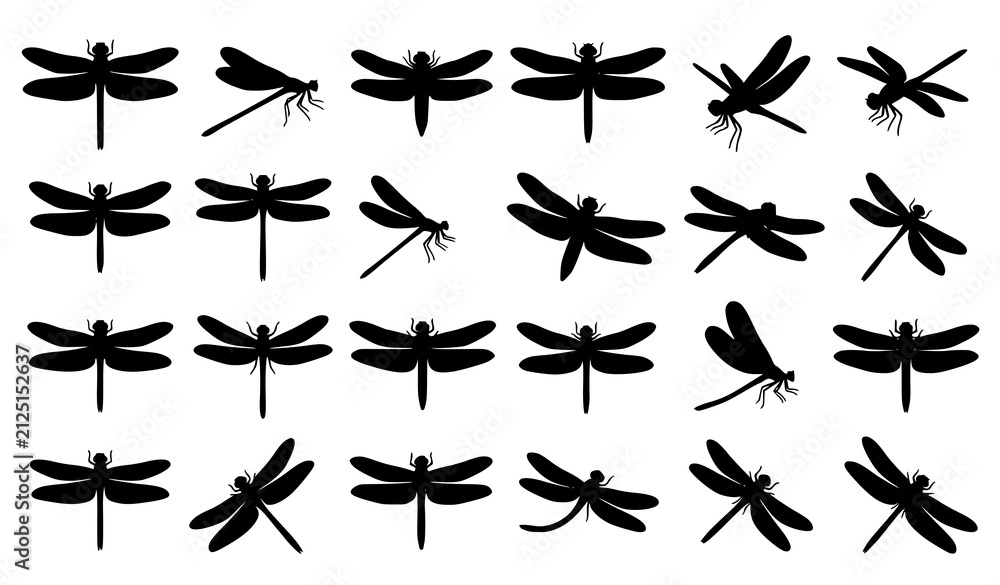 Fototapeta premium Closeup black dragonfly silhouette vector set with realistic flying insect illustrations isolated on white background