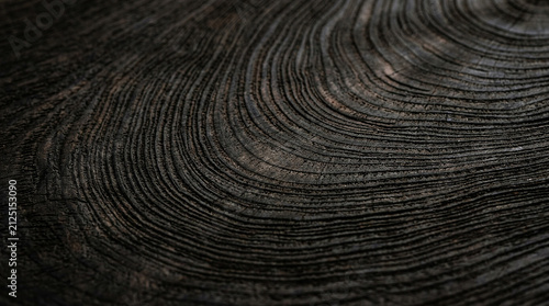 Dark Carbonized Charred Wood Rings Macro Texture Background