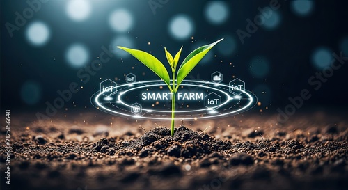 Smart Farm Technology Concept with Growing Plant and Digital Network.