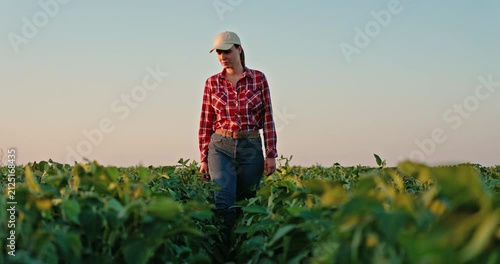Female farmer walking through a soybean field and inspecting the crop cultivation