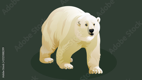 Obraz na plátně polar bear vector illustration