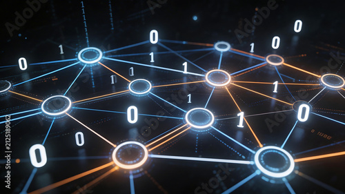 Digital network with binary data
