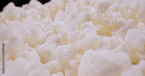 Cottage cheese fresh milk curd, probe lens macro.