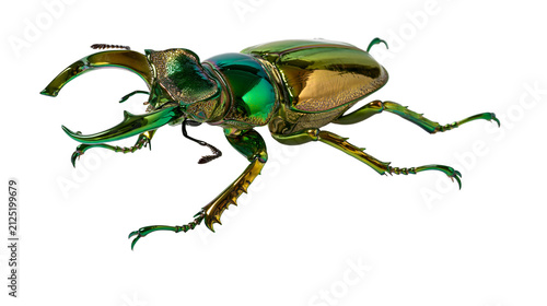 Metallic green stag beetle with large mandibles, isolated on transparent background