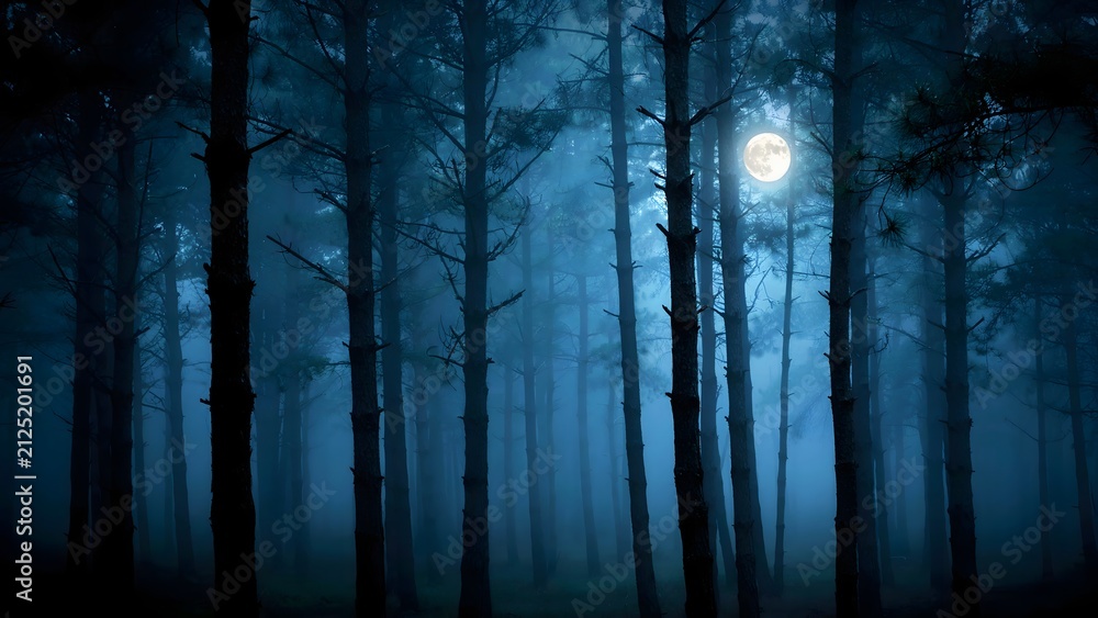 Obraz premium Eerie moonlit forest scene with tall trees and fog. Mystical woodland landscape under night sky.