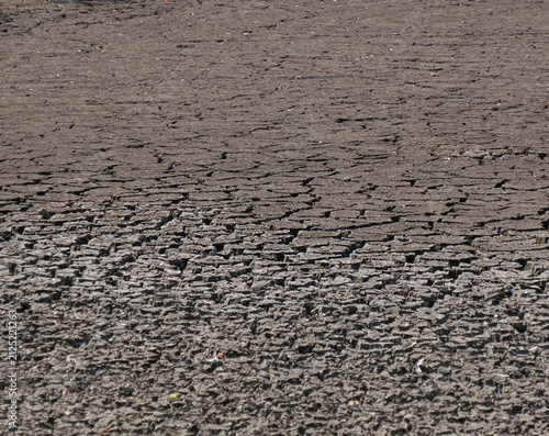 Dried up lake during drought conditions