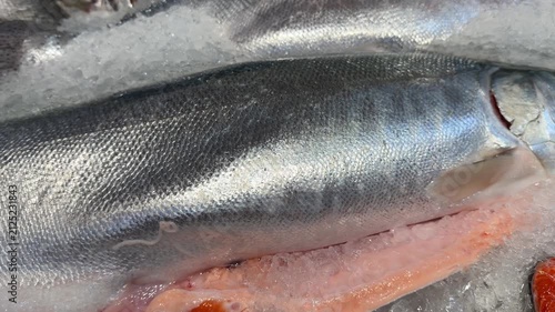Fresh Salmon Fish on Ice at Seafood Market