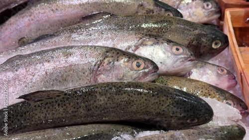 Fresh Trout Displayed on Ice at Seafood Market