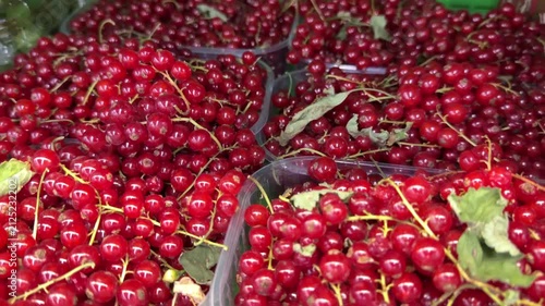 Plastic Containers Filled With Red Currants in Market Display
