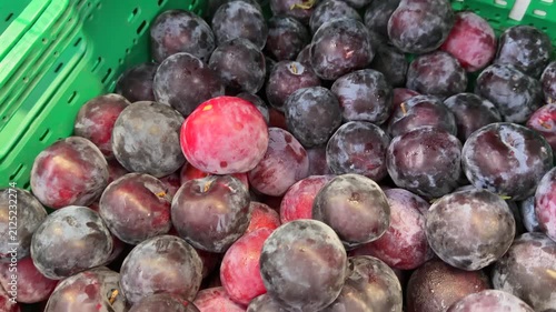 Dark Purple Plums in Green Plastic Crate at Produce Market