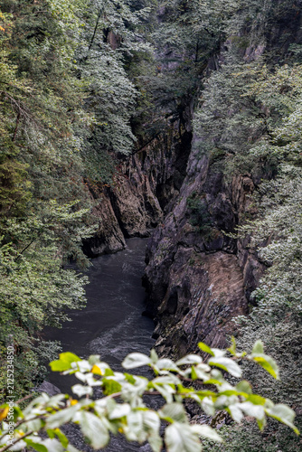 Salzach Gorge Beauty