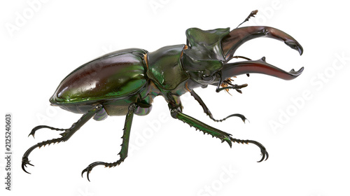 Large green stag beetle with prominent brown mandibles, isolated on transparent background