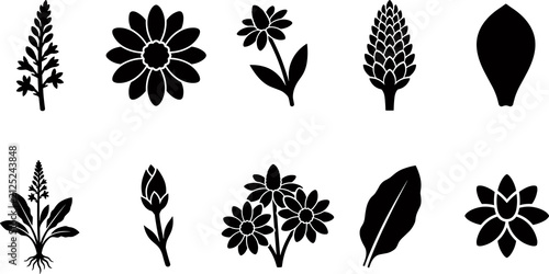 Plant and flower silhouette icons line art, botanical artwork illustration, nature design graphics, decorative sketch outline artwork