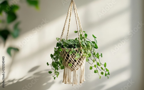 A handmade macrame plant hanger suspending a pot with lush green foliage, creating a bohemian indoor garden atmosphere with soft shadows on a white wall