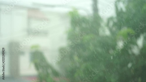 Heavy Rain and Wind: A blurry image capturing a powerful rainstorm, with water droplets and strong winds lashing against lush green foliage and a distant building.