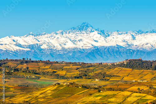 The snow-capped Alps and Monviso peak rise behind the rolling hills with autumnal vineyards of the Langhe region, in Italy.