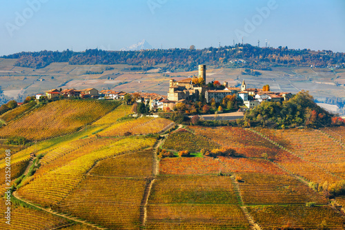 Small town on the hill with colorful autumnal vineyards, in Piedmont, Italy.