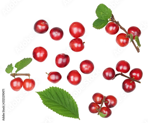 Felted cherry with leaves isolated on a white background, contour