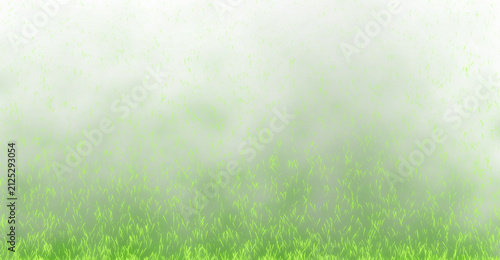 Fotografía Dense green grass blades pattern with blurred focus presented on transparent bac