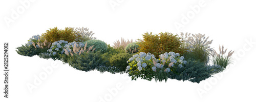 Garden landscape composition with blooming hydrangea bushes, ornamental pampas grass, and autumn-colored shrubs, isolated on transparent background