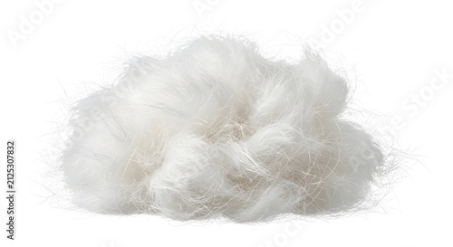 Obraz na płótnie Fluffy white angora or rabbit fur fiber cloud